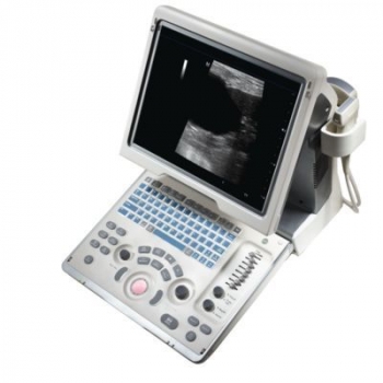 dp504-400x400