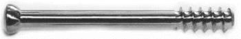 image237