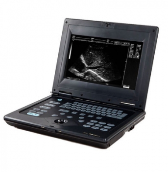rs-880c-2-392x400